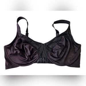 Curvation Elegant Black Women's Bra Size 42DDD